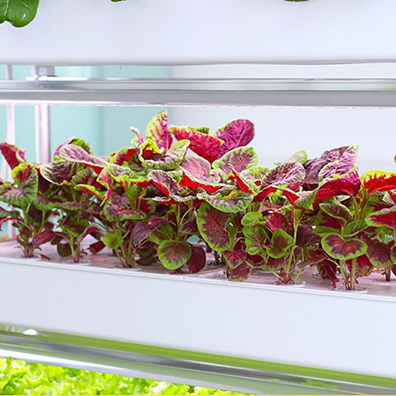 Hydroponics Growing System Ver - огляд і ціна Hydroponic Tower Planter